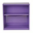 2 Shelf Metal Purple Bookcase by OSP Home Furnishing