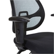 Ergonomic Task Office Chair with Adjustable Arms in Coal Black