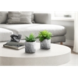 Artificial Plant - 6