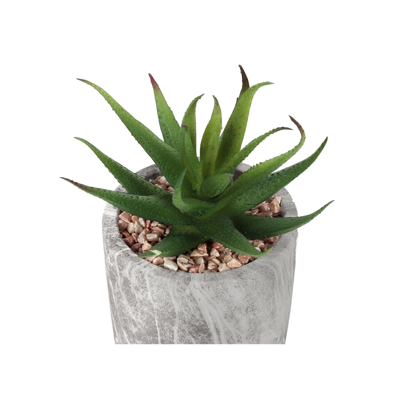 Artificial Plant - 6