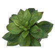 Artificial Plant - 6