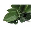 Artificial Plant - 20