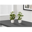 Artificial Plant - 14