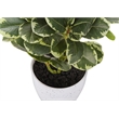 Artificial Plant - 14