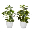 Artificial Plant - 14