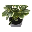 Artificial Plant - 14