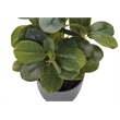 Artificial Plant - 14