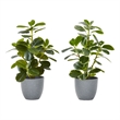 Artificial Plant - 14