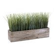 Artificial Plant - 12