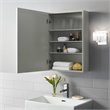 Crosley Furniture Savannah MDF Wood Mirrored Wall Cabinet in Gray/Clear