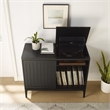 Crosley Furniture Asher Record Storage Media Console in Matte Black