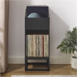 Crosley Furniture Enzo Small Record Storage Stand in Black