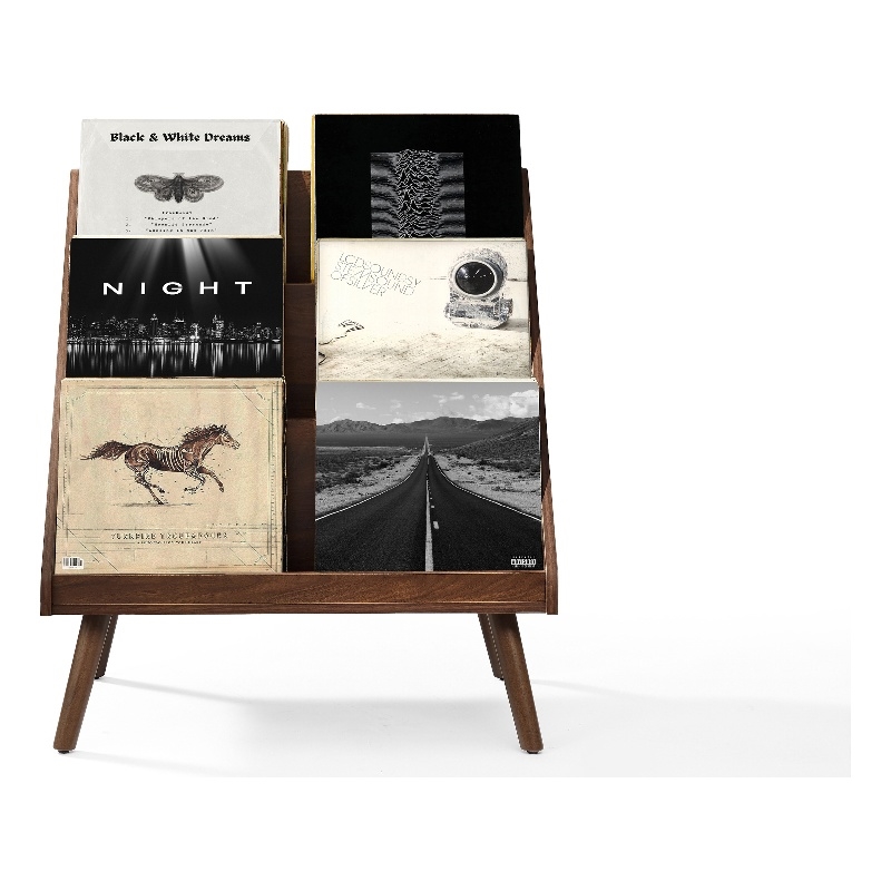 Crosley Liam Medium Vinyl Record Storage Stand in Walnut