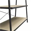 Ameriwood Home Drexel Closet Storage Rack in Pale Oak