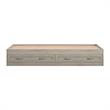 Little Seeds Sierra Ridge Levi Twin Bed with Storage in Light Walnut