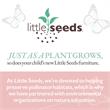 Little Seeds Sierra Ridge Levi Twin Bed with Storage in Light Walnut