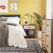 Ameriwood Home Novogratz Kelly Engineered Wood Nightstand in Black Oak