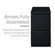 Hirsh 20-in Deep Metal Mobile Pedestal 2-Drawer File/File. Full Width Pull Black