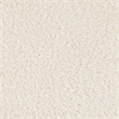 Convenience Concepts Take a Seat Charlotte Sherpa Accent Chair in Ivory Fabric
