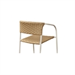 Moe's Home Collection Zola Dining Chair Metal Brown