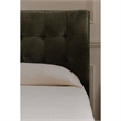 Moe's Home Collection Sebastion Storage Beds Fabric Green