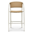 Moe's Home Collection Zola Outdoor Chairs Metal Natural