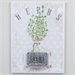 Thyme
