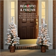 Arakiel S/ 2- 3.5 Ft Pre-Lit Flocked Pot Tree