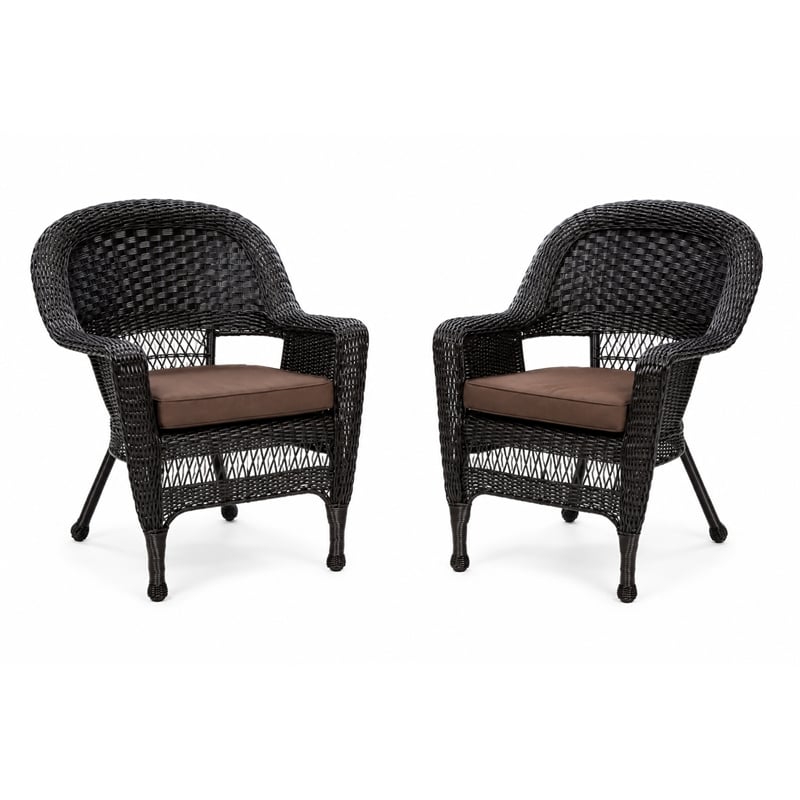Black Resin Wicker Chair With Brown Cushion - Set of 2