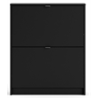 Tvilum Bright 2 Drawer Shoe Cabinet in Black Matte with 1 Layer