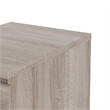 Tvilum Scottsdale 2 Drawer Wood Nightstand in Truffle