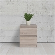 Tvilum Scottsdale 2 Drawer Wood Nightstand in Truffle