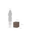 Tvilum Scottsdale 2 Drawer Wood Nightstand in Truffle