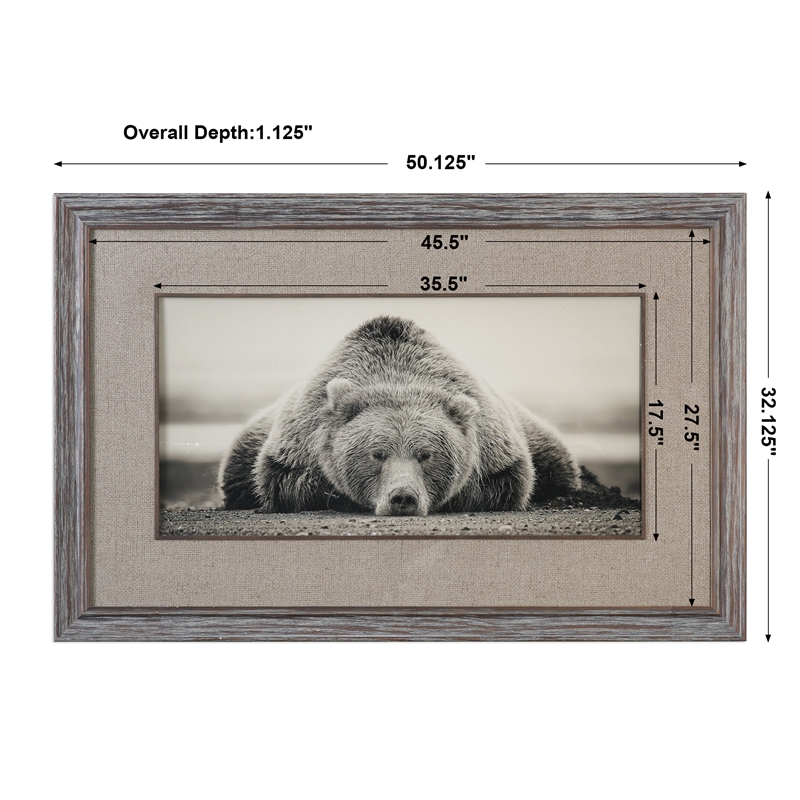 Uttermost Deep Sleep Traditional Wood and Glass Bear Print in Brown/White