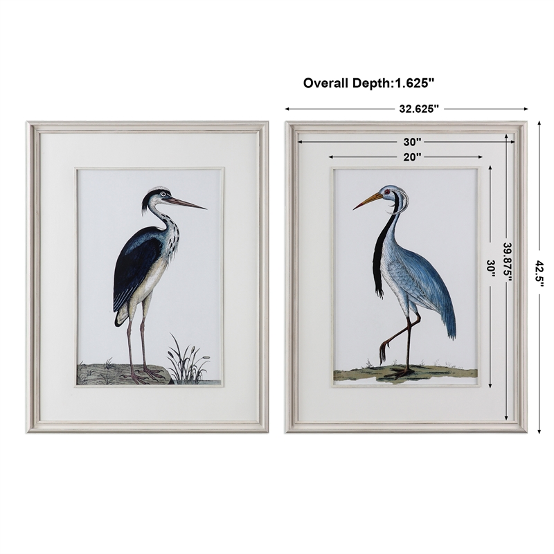 Uttermost Shore Birds Wood Glass Framed Prints in Black/Blue/White (Set of 2)