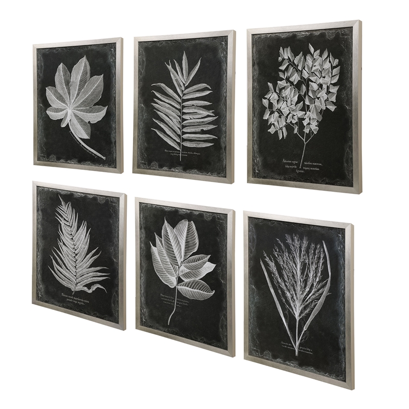 Uttermost Foliage Plastic Glass and Wood Framed Prints in Multi-Color (Set of 6)