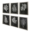 Uttermost Foliage Plastic Glass and Wood Framed Prints in Multi-Color (Set of 6)