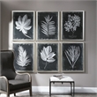 Uttermost Foliage Plastic Glass and Wood Framed Prints in Multi-Color (Set of 6)
