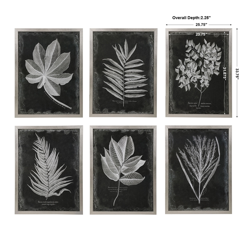 Uttermost Foliage Plastic Glass and Wood Framed Prints in Multi-Color (Set of 6)