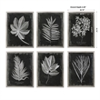 Uttermost Foliage Plastic Glass and Wood Framed Prints in Multi-Color (Set of 6)