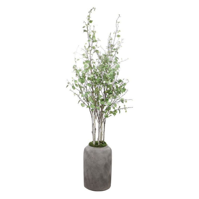 Uttermost Aldis Polyester Fabric and Iron Potted River Birch in Aged Stone