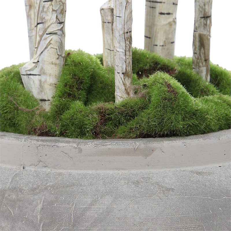 Uttermost Aldis Polyester Fabric and Iron Potted River Birch in Aged Stone