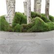 Uttermost Aldis Polyester Fabric and Iron Potted River Birch in Aged Stone