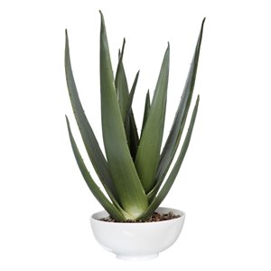 Uttermost Evarado Polyfoam Resin and Stone Aloe Planter in Glossy White