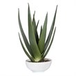 Uttermost Evarado Polyfoam Resin and Stone Aloe Planter in Glossy White