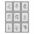 Uttermost Farmhouse Florals Iron Glass Cotton Prints in Black/White (Set of 9)