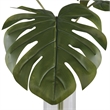 Uttermost Ibero Polyester Glass and Resin Split Leaf Palm in Green