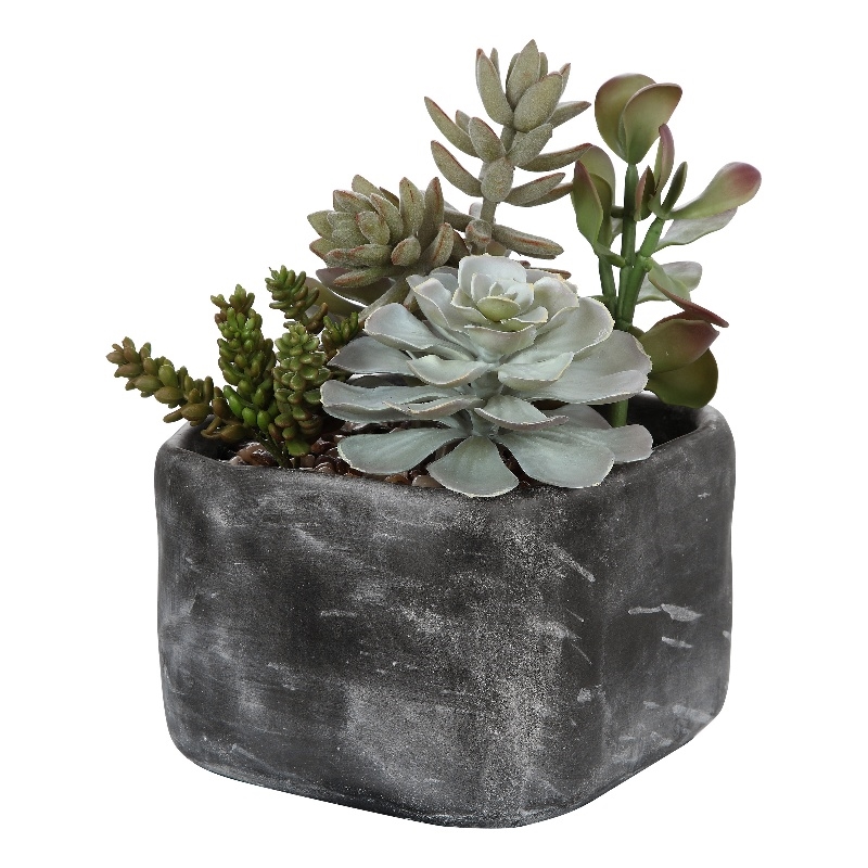 Uttermost Alverio Contemporary Plastic Iron Cement Succulents in Black/Green