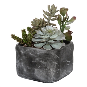 Uttermost Alverio Contemporary Plastic Iron Cement Succulents in Black/Green