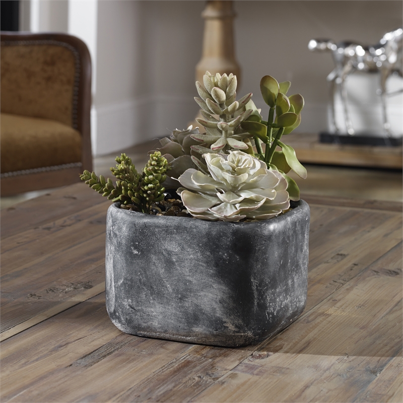 Uttermost Alverio Contemporary Plastic Iron Cement Succulents in Black/Green